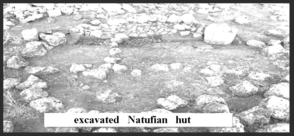 Natufian hut