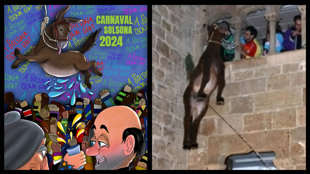donkey of Solsona carnival
